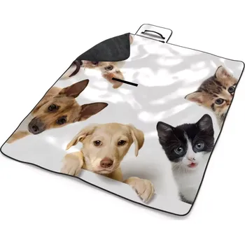 deka Sablio Plážová deka Štěňátka a koťátka: 200x140 cm