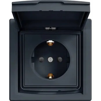 Elektrická zásuvka Hermetická Elektrická Zásuvka Schneider Electric EPH3100371