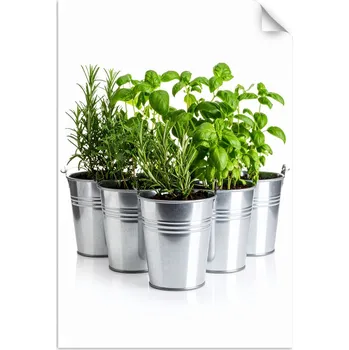 Fototapeta Samolepící plakát do kuchyně a jídelny, Bylinky koření rostliny 90x130 cm