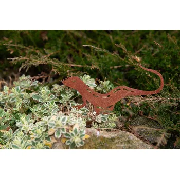 Zahradní dekorace Corgarden Zahradní dekorace JEŠTĚRKA 1046 23 x 15 cm Corten