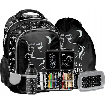 Školní batoh Vícekomorový Školní batoh Paso černý, odstíny šedé a stříbrná 18 l