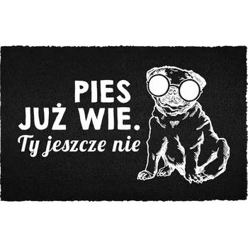 Rohožka ČERNÁ KOKOSOVÁ VSTUPNÍ ROHOŽKA S HUMOREM PES UŽ VÍ, TY JEŠTĚ NE