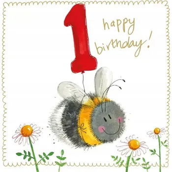 DOPLNĚK K DÁRKU K NAROZENINÁM Přání k Narozeninám Kartička Přání 1 Rok