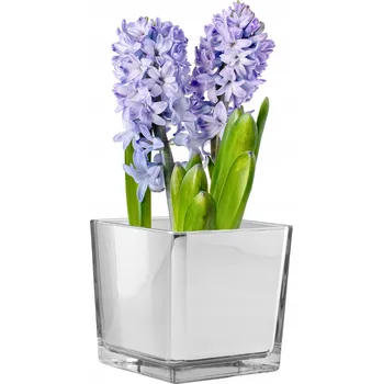 Váza OBAL Na Hyacinty Narcisy DEKORATIVNÍ NÁDOBA Stříbrná SKLO 12,5 cm