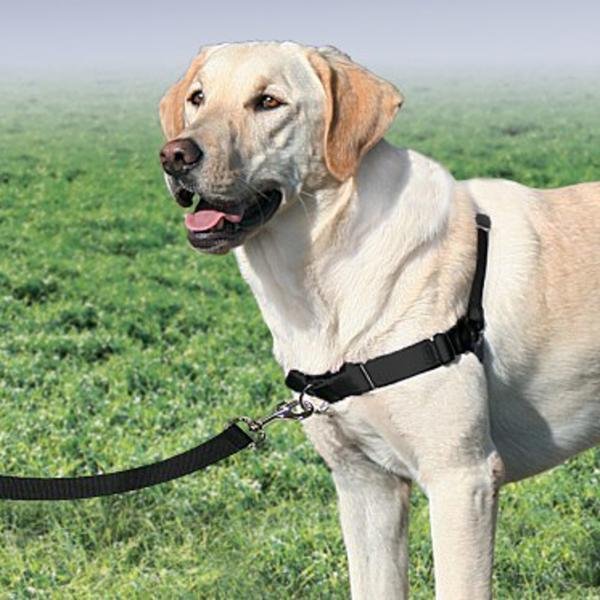 Postroj proti tahání Easy Walk Medium černý