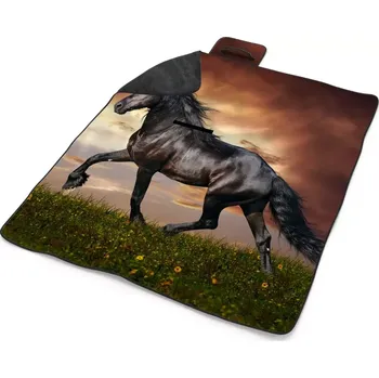 deka Sablio Plážová deka Friský kůň: 200x140 cm