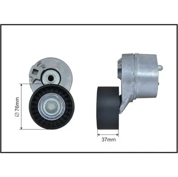 Auto-moto Napínací rameno, žebrovaný klínový řemen Caffaro 114799SP