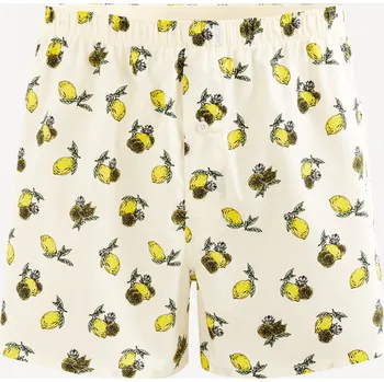 Trenýrky Celio Vzorované trenýrky Giwolemon - Pánské Celio bílá 2727460