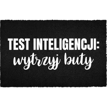 Rohožka ČERNÁ KOKOSOVÁ ROHOŽKA PŘED DVEŘE 40X60CM - VTIPNÝ NÁPIS / TEST