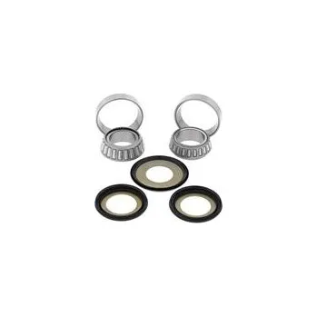 Sada ložisek řízení 22-1001