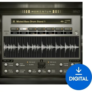 Software Impact Soundworks Momentum - Acoustic Rhythmic Loops (Digitální produkt)
