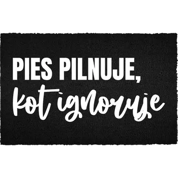 Rohožka Vstupní rohožka 40x60 cm černá kokosová - Kočka ignoruje