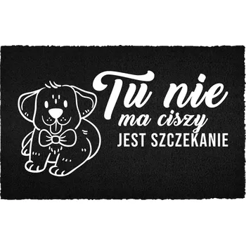 Rohožka VCHODOVÁ ROHOŽKA 40X60 ČERNÁ KOKOSOVÁ PRO DOMÁCNOST - TADY NENÍ KLID