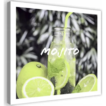 Obraz Obraz na plátně, Mojito drink 20x20