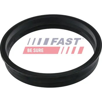 Palivová nádrž Těsnění, snímač paliva Fast Original FT48505
