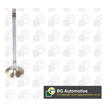 Sací ventil BG Automotive V166200