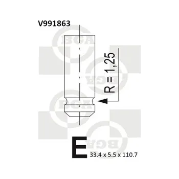 Rozvod motoru Sací ventil BG Automotive V991863