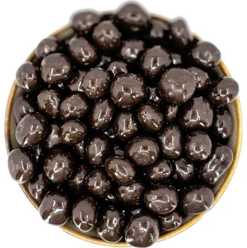 Zdravoslav Zázvor v hořké polevě 250 g