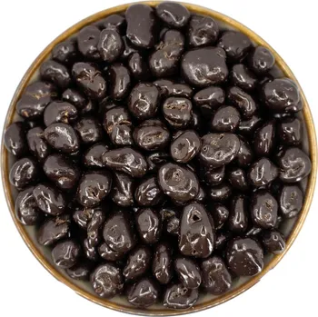 Sušené ovoce Zdravoslav Brusinky v hořké čokoládě 500 g