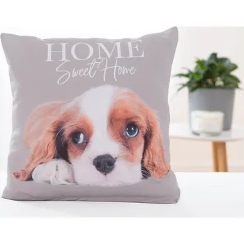 Povlak na polštářek Povlak na polštář 40 × 40 cm - King Charles Španěl Smutně koukám šedý