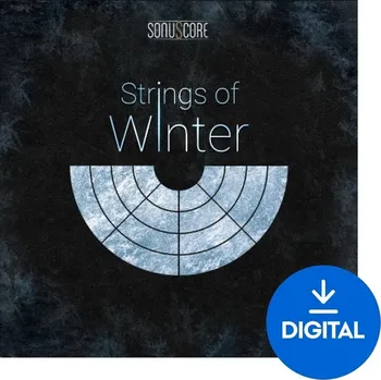 Software Best Service TO - Strings of Winter (Digitální produkt)