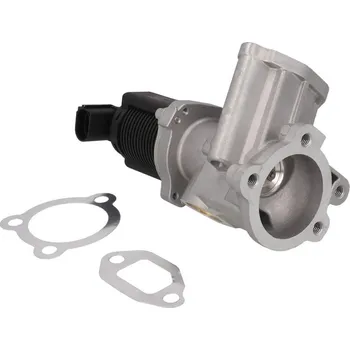 Ventil palivového systému AGR-Ventil KAMOKA 19088