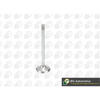 Sací ventil BG Automotive V998912