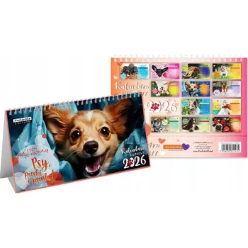 Kalendář Stolní kalendář 2026 Passion zvířata