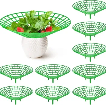 Opora na rostlinu Podpěra pro pěstování jahod | opora rostlin - Zelený , 10 ks