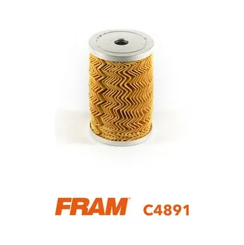 Auto-moto Palivový filtr FRAM C4891
