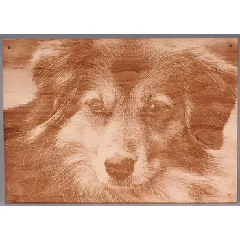 Gravírování Obrázek A4, gravírování na zakázku