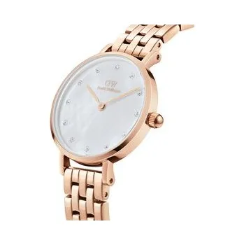 Hodinky Daniel Wellington Hodinky Petite DW00100613 Zlatá OS