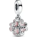 Pandora Něžný stříbrný přívěsek pro štěstí Čtyřlístek Moments 792245C01 + 2 měsíce na vrácení zboží