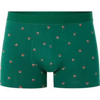 Boxerky Celio Boxerky Nibococino 1185056 Zelená M