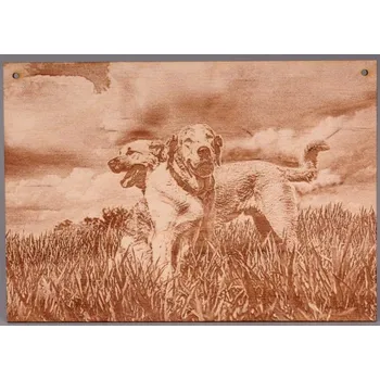 Gravírování Obrázek A5, gravírování na zakázku