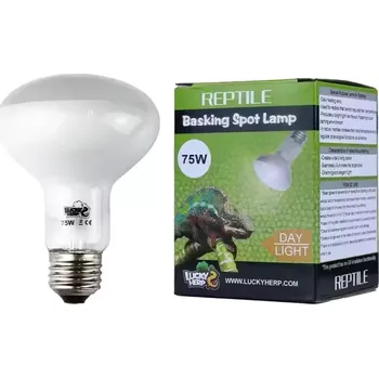 Teraristika Lucky Herp Basking Spot Lamp 50W (Lucky Herp Basking Spot Lamp - Day Light)