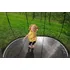 Trampolína Springfree Compact Oval