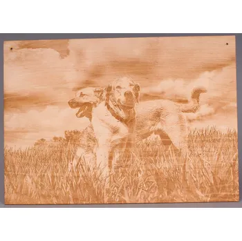 Gravírování Obrázek A3, gravírování na zakázku