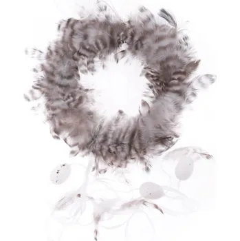 Velikonoční dekorace Věnec z peří s bílými vajíčky na provázku