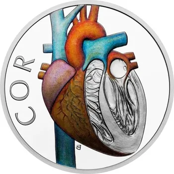 Stříbrná mince Lidské tělo - Oběhová soustava – Srdce proof