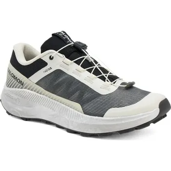 Pánská sportovní obuv Salomon Vision L47815900 - vanilla ice/lunar rock/black 46