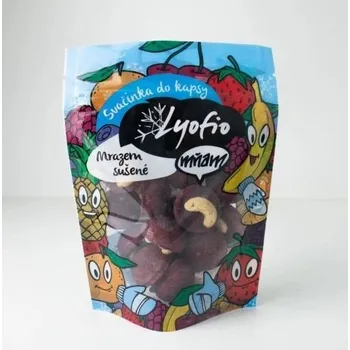 Potravina Lyofio Kešu v borůvkové krustě 30 g
