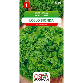 Semeno Salát listový LOLLO BIONDA 0,5 g OSIVA MORAVIA
