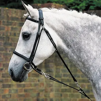 Kožený gogue Premiere Pony