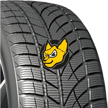 Osobní pneu Evergreen EW66 195/65 R15 95T XL