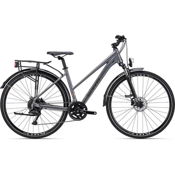 CTM 2026 CTM BORA 1.0 trek 2026 Barva: matná šedá, Velikost: L (18")