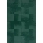 Kusový koberec Demi Check Ombre Green 160x230 cm