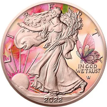 Sběratelství Stříbrná mince 1 Oz American Eagle Four Seasons Series Summer 2022