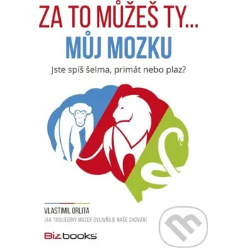 Za to můžeš ty... můj mozku - Vlastimil Orlita BIZBOOKS