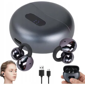 Překladač Bedee M-79